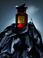 Tom Ford Jasmin Rouge Fragrance