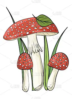 蘑菇。彩色，剪辑艺术，线条艺术。矢量图