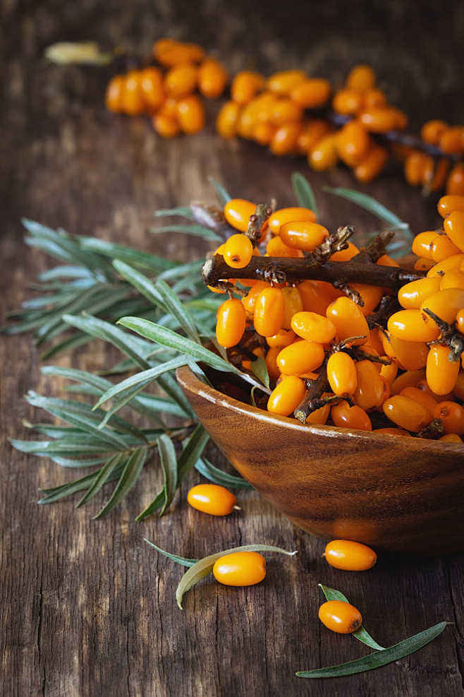 Ripe sea buckthorn