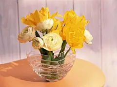 小清新室内花朵壁纸图片