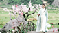 #电视剧三生三世十里桃花# 华语乐坛实力唱将@张杰 演唱的主题曲《三生三世》MV正式上线，配以歌词版剧照观看，歌词字字戳心，画面凄美动人。杰哥嗓音动人，求轻虐@杨幂 @HERO趙又廷 @张智尧-ken @Dear-迪丽热巴 @深情的高伟光 @张彬彬Vin @于朦胧 @祝绪丹Bambi @黄梦莹maggie  L张杰献声《三生三世》 杨幂赵又廷虐恋情深 ​​​​