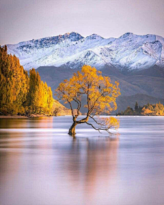 深谷小溪采集到风景