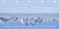 11月揭幕！「去你的南極」特展：以台灣南極長征事件，開啟 6 道冒險敘事章節 | ShoppingDesign : 2018 橘子關懷基金會「前進南極點」計畫，締造台灣史上首隊伍越野滑雪長征南極點的紀錄，也是「去你的南極 Go!Go!South Pole」特展起始。