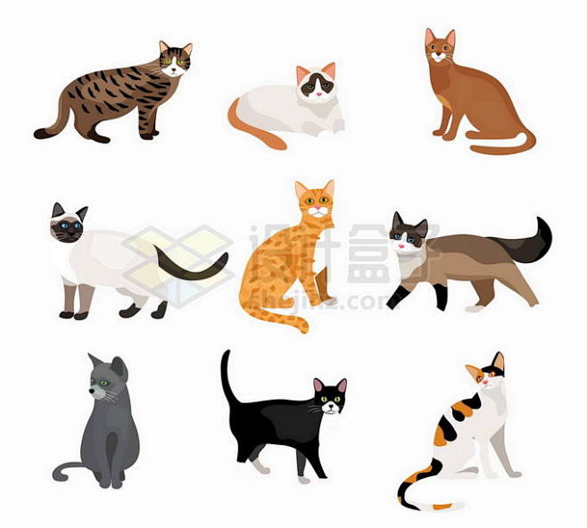 卡通狸花猫虎斑猫奶牛猫三花猫等猫咪4483358矢量图片免抠素材