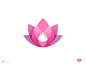 Pink Lotus