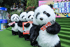 大C酱采集到巡游
