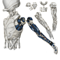 Jack shoulder joints 31.jpg