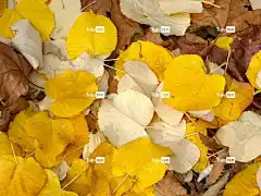 床单 Windows壁纸 高清壁纸 全高清壁纸 自由背景 4K壁纸