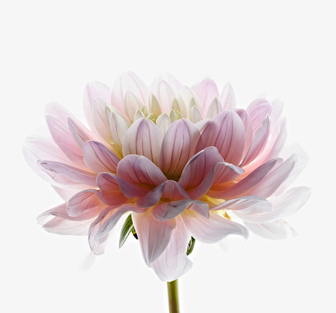 untitled image