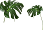 20180607180559_25303
