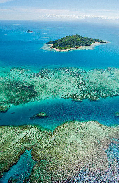 [珊瑚礁] 斐济 漂流岛附近的珊瑚礁