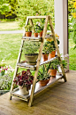 DIY flower stand old ladder patio decorating ideas