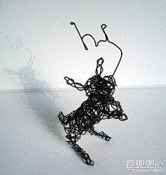 freeimage采集到奇异果
