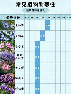 lizhixing采集到花境植物名称