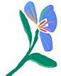 Fifth Avenue, Blooms™ - Imagined By Van Cleef & Arpels with Alexandre Benjamin Navet