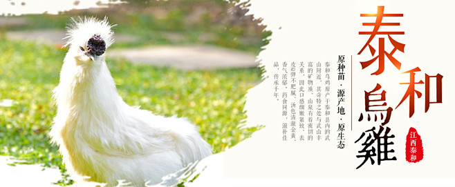 泰和乌鸡banner