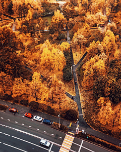 破军Yukiru采集到风景