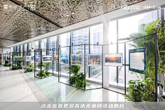 STARKING星王文化采集到展示墻