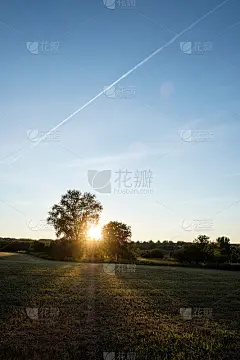 直射的阳光从地平线穿过树冠在乡村的地方/在天空中飞机的痕迹/垂直