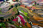 极美的中国风景空中拍摄彩色稻田by Thierry Bornier