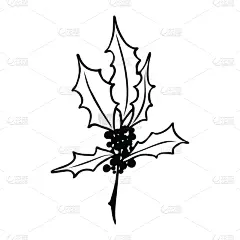 枝,符号,圣诞节,冬青树,矢量,绘画插图,黑白图片,传统,贺卡,背景分离