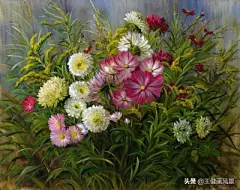 花草 - 高清图片，堆糖，美图壁纸兴趣社区