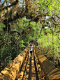 On the list to Visit: Myakka River State Park (Located nine miles east of I-75 in Sarasota, Florida.)