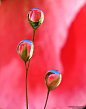 3 drops by lindahabiba on deviantART