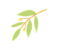 7645b04588e0ae50b7fbac5ec2da116ace551e2221e1f-4TCeDZ_fw1200