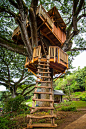 treehouse - Google Search