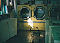 This may contain: a washer and dryer in a small room