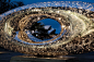 星辰微光的秘密世界 : Experience Lindy Lee's remarkable exhibition "Moon in a Dew Drop'' at the Museum of Contemporary Art Australia (MCA). This 5m-wide stainless-steel sculpture, situated on the MCA forecourt overlooking Sydney Harbour, with intricate perfora