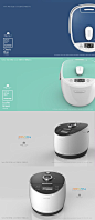 Rice Cooker Design for Pantone, Coway Etude for Understaning Brand identity PDF HAUS_ Design Academy: 
