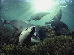 海底世界精美壁纸下载
http://www.xmwebi.com.cn/bbs/thread-13310-1-1.html