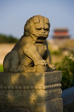 风一半鸥两三采集到纹身 国风