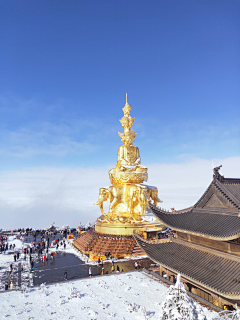 偷得鱼生半日闲采集到感觉还行的图片(个人手机拍摄)