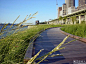 美国纽约南滨河公园景观设计项目（Thomas <wbr>Balsley）