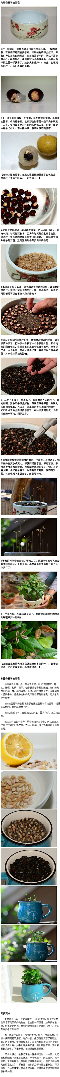 天蓝云越采集到生活