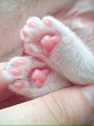 来自相册