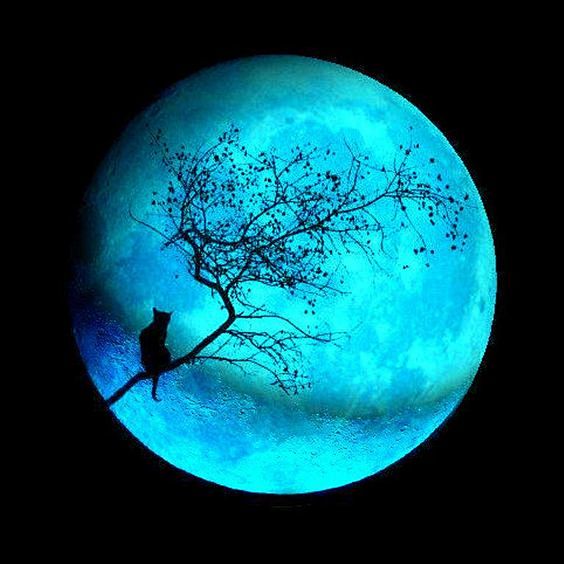 Blue Moon: 