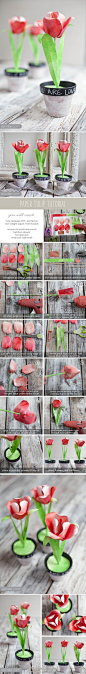 纸制郁金香
DIY tulips
 #手工# #DIY# #废物利用#
via @于我何
精选 @花瓣手工