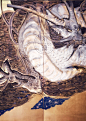 金碧屏风画 : 题目：《龙之東潇》作者：莲羊画种：岩彩画材料：金碧屏风（175cm×400cm），方解石、黑曜石、蛤粉、松烟墨、蓝铜矿、铜箔。Title: "Dragon East and Xiao" Author: Lotulistpainting: rock color material: Golden screen 175cm x 400cm, calcite, obsidian, clam powder, pine smoke ink, blue copper mine, co