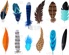 华丽的,鸟类,三维图形,翎毛,翅膀,自然美,涂料,尾巴,写实,布置