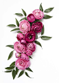 Styling and Photography by Shay Cochrane | www.shaycochrane.com | pink, florals, floral styled stock