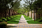 Path005