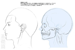 arleneanswer采集到人物结构