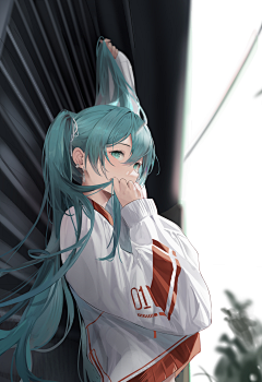 FlBLCqc2采集到初音未来