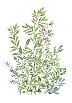 RN8MtAhn采集到矢量插画