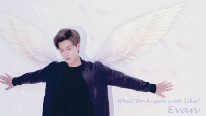 What do Angle look l...