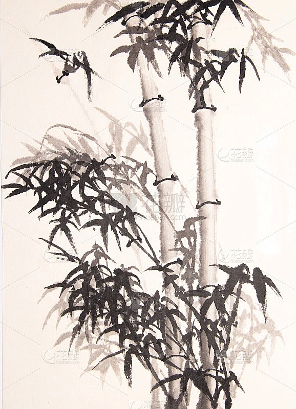 竹水墨画手绘素材-花瓣网